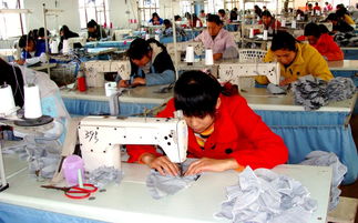 女裝 常熟市虞山鎮(zhèn)莫城愛(ài)美橙服裝店